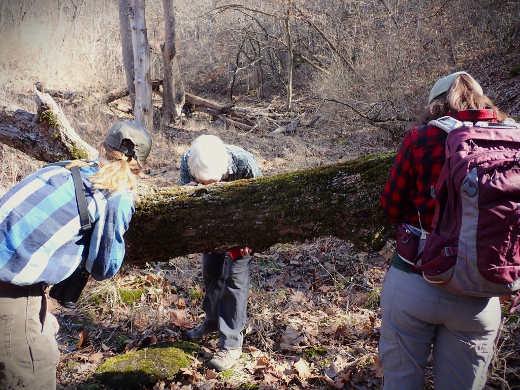 Bryophyte Hikes Are&nbsp;Here!